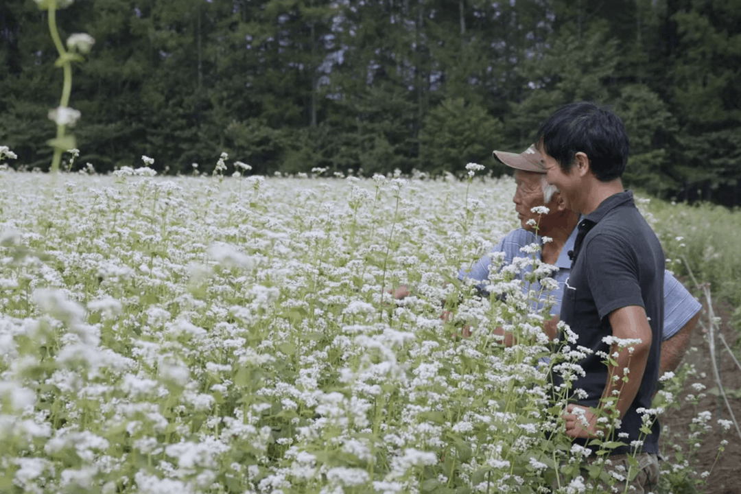 坂爪庄一・坂爪誠八（黒姫  坂爪園芸）